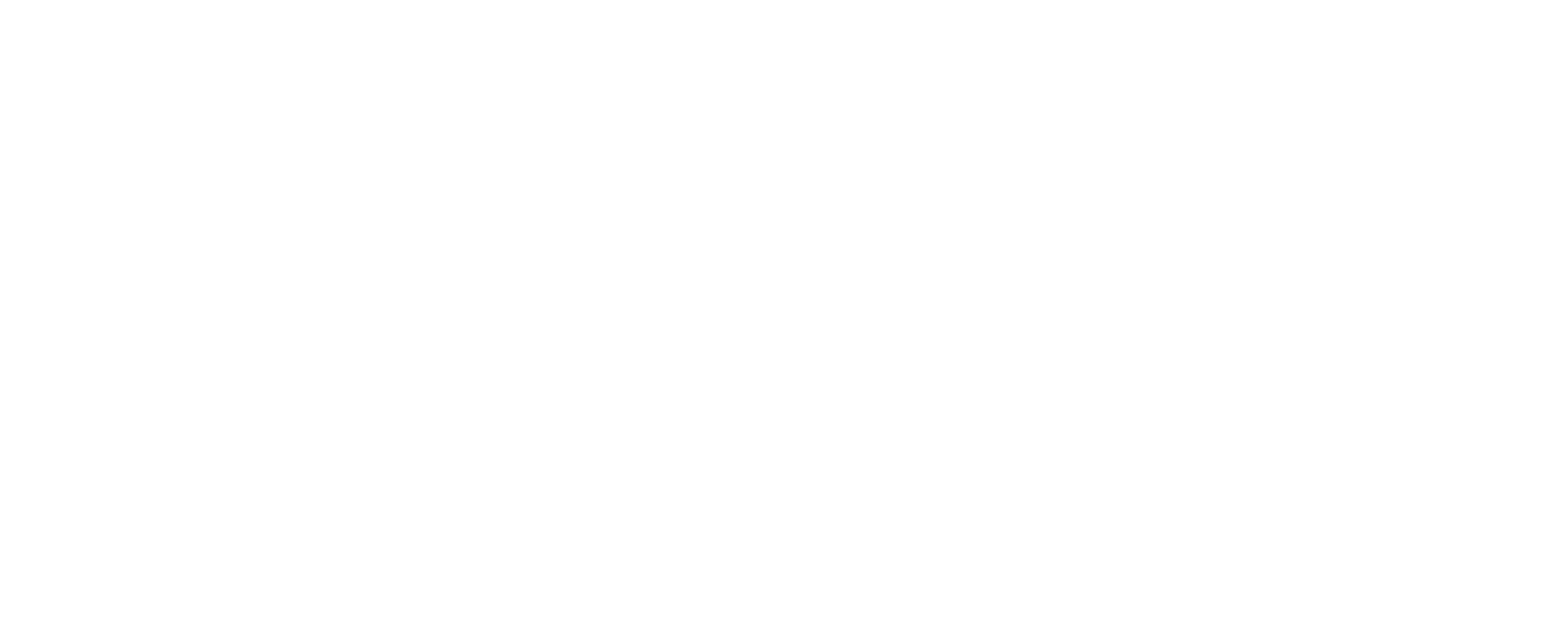 ARAMET-MarianaBorigen-Web